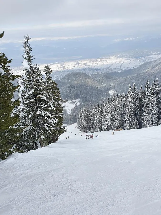 Spacious And Cosy Apartment In Bansko Royal Towers Complex 0*,